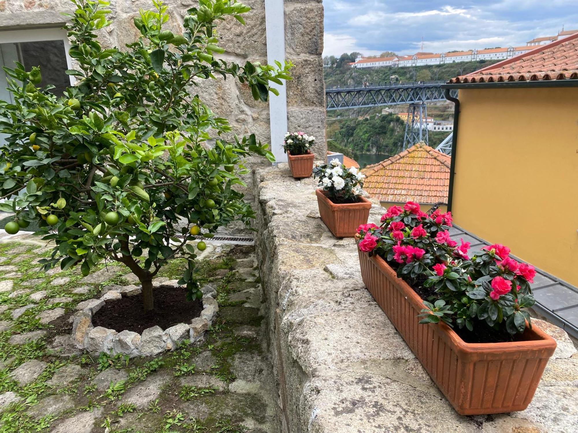 Casa Dona Olga River View Porto Eksteriør bilde